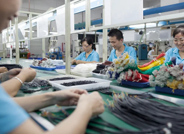 Quality testing and certification